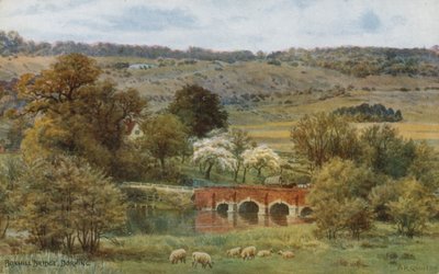 Boxhill Brug, Dorking door Alfred Robert Quinton